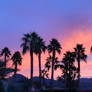 Meet your Posher, Annabelle